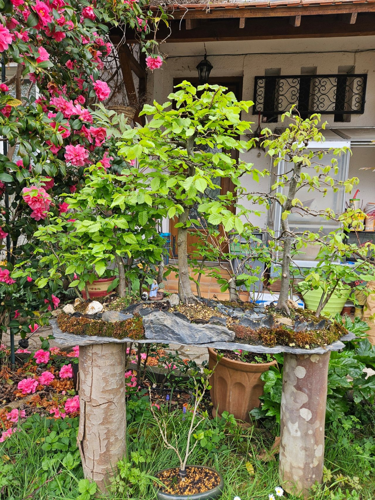 Photo 13