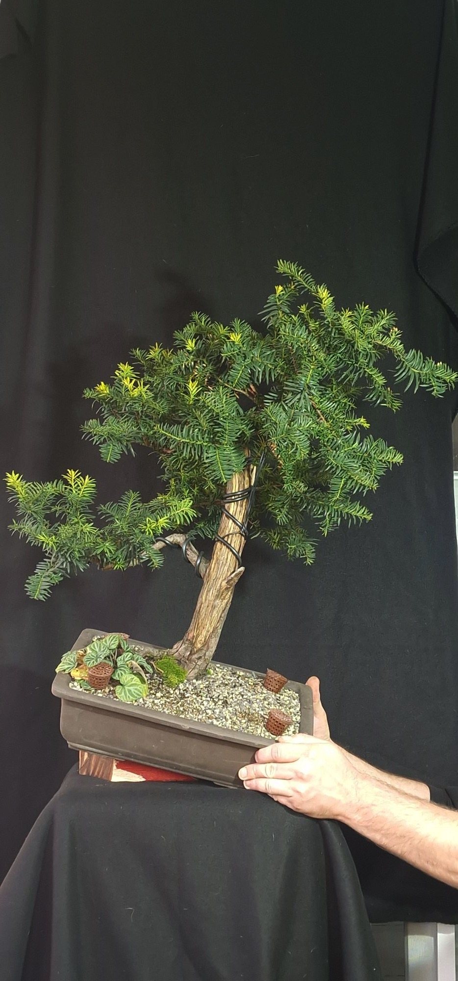Photo 4