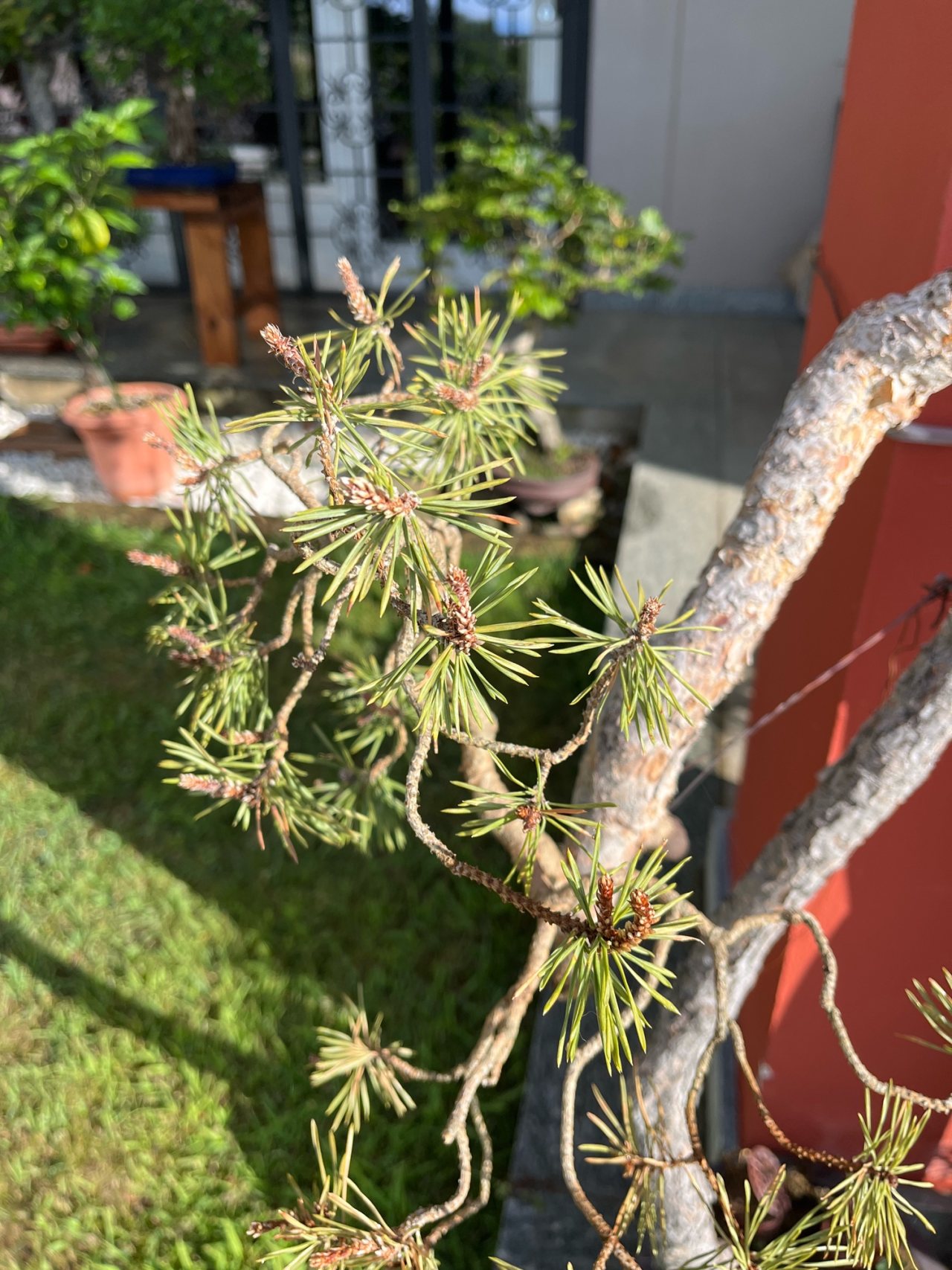 Photo 18