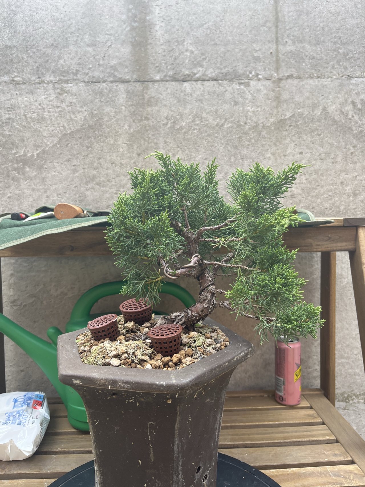Photo 17