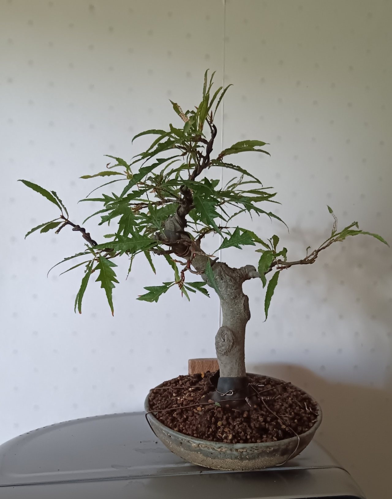 Photo 23