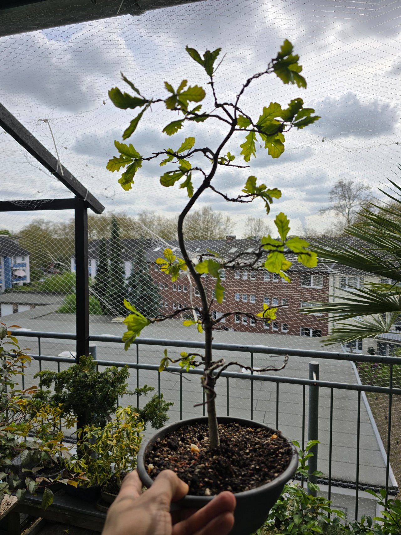 Photo 11