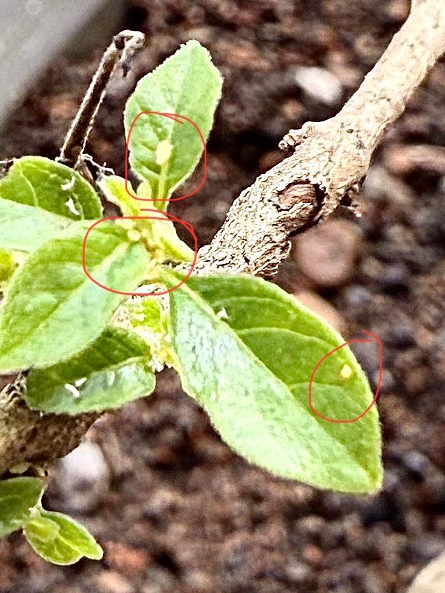 Photo 13