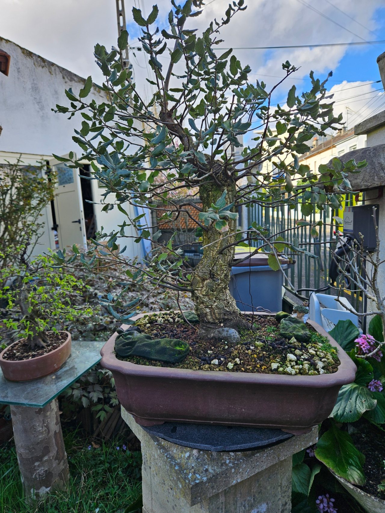 Photo 9
