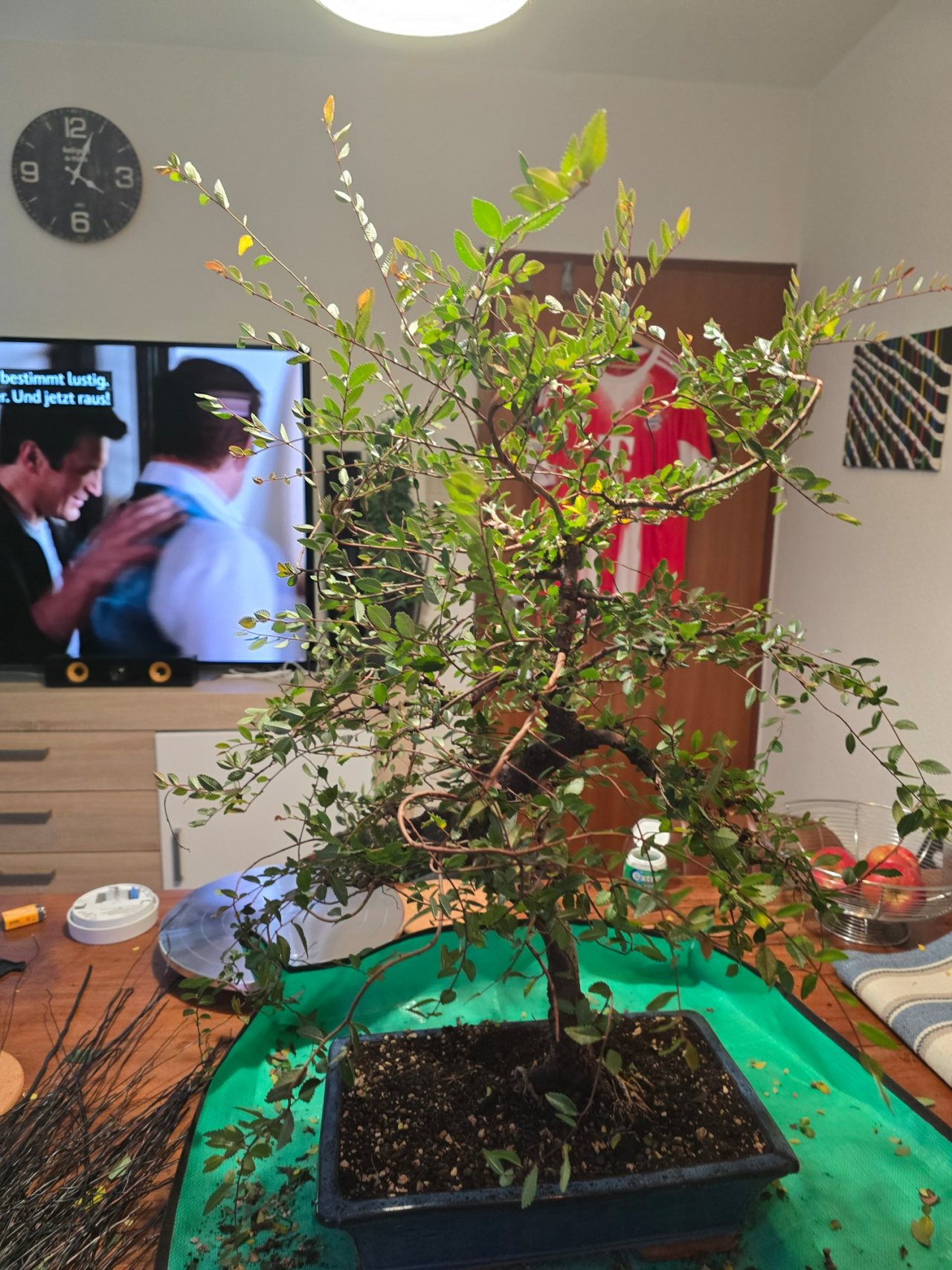 Photo 16