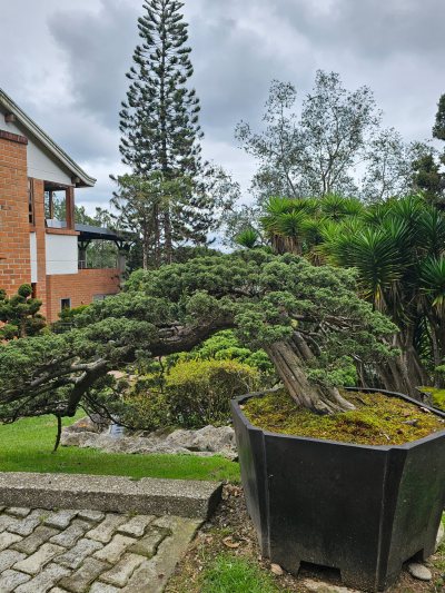 San José Semi Cascada