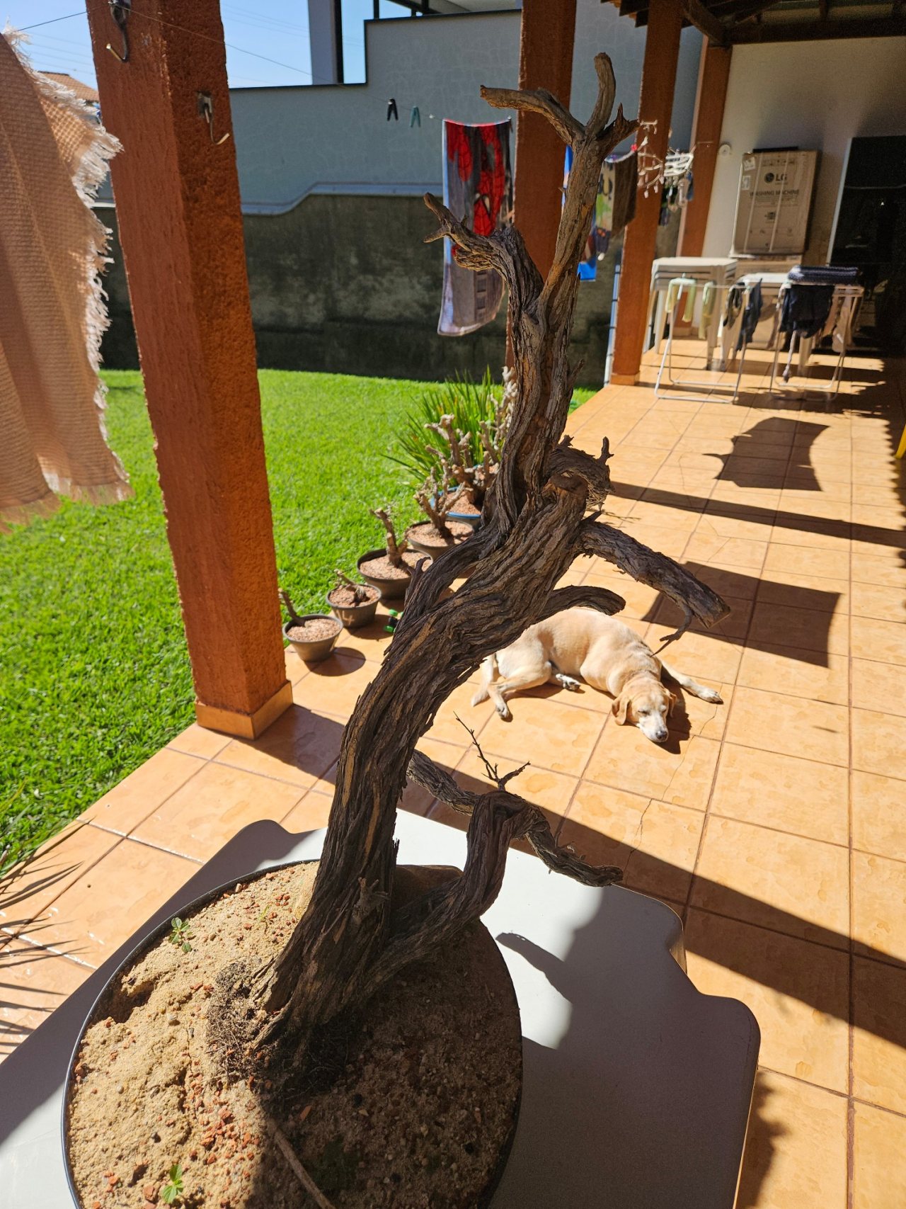 Photo 3