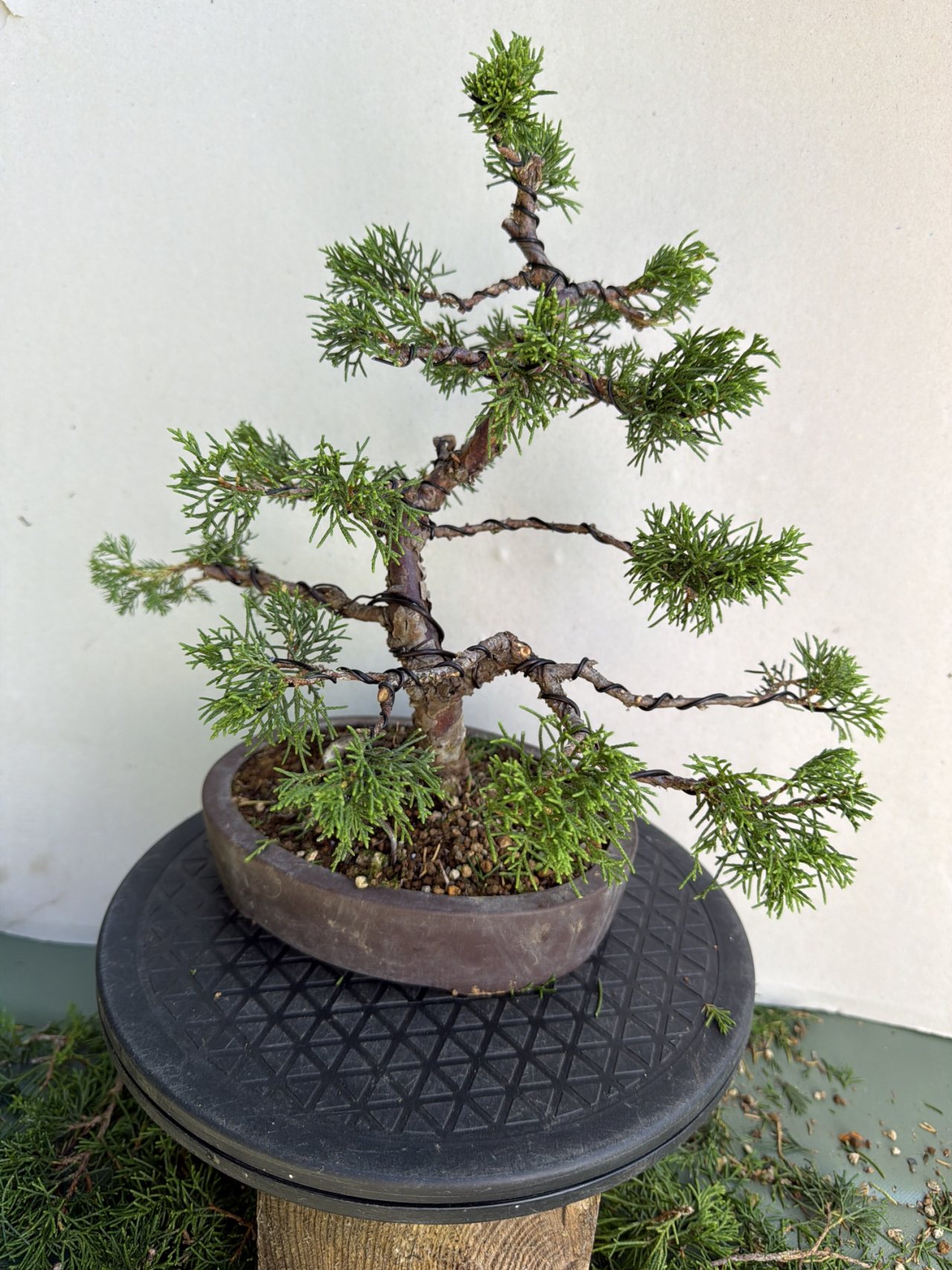 Photo 6