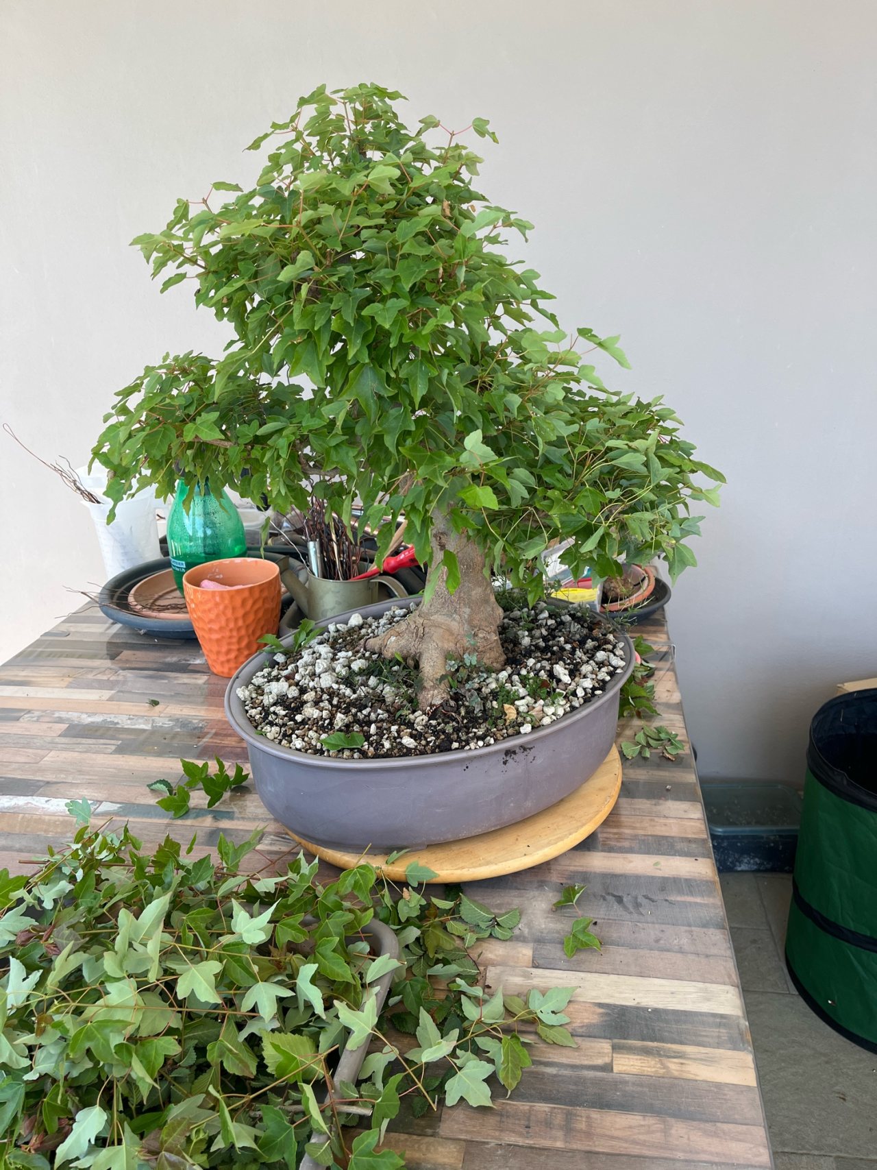 Photo 21