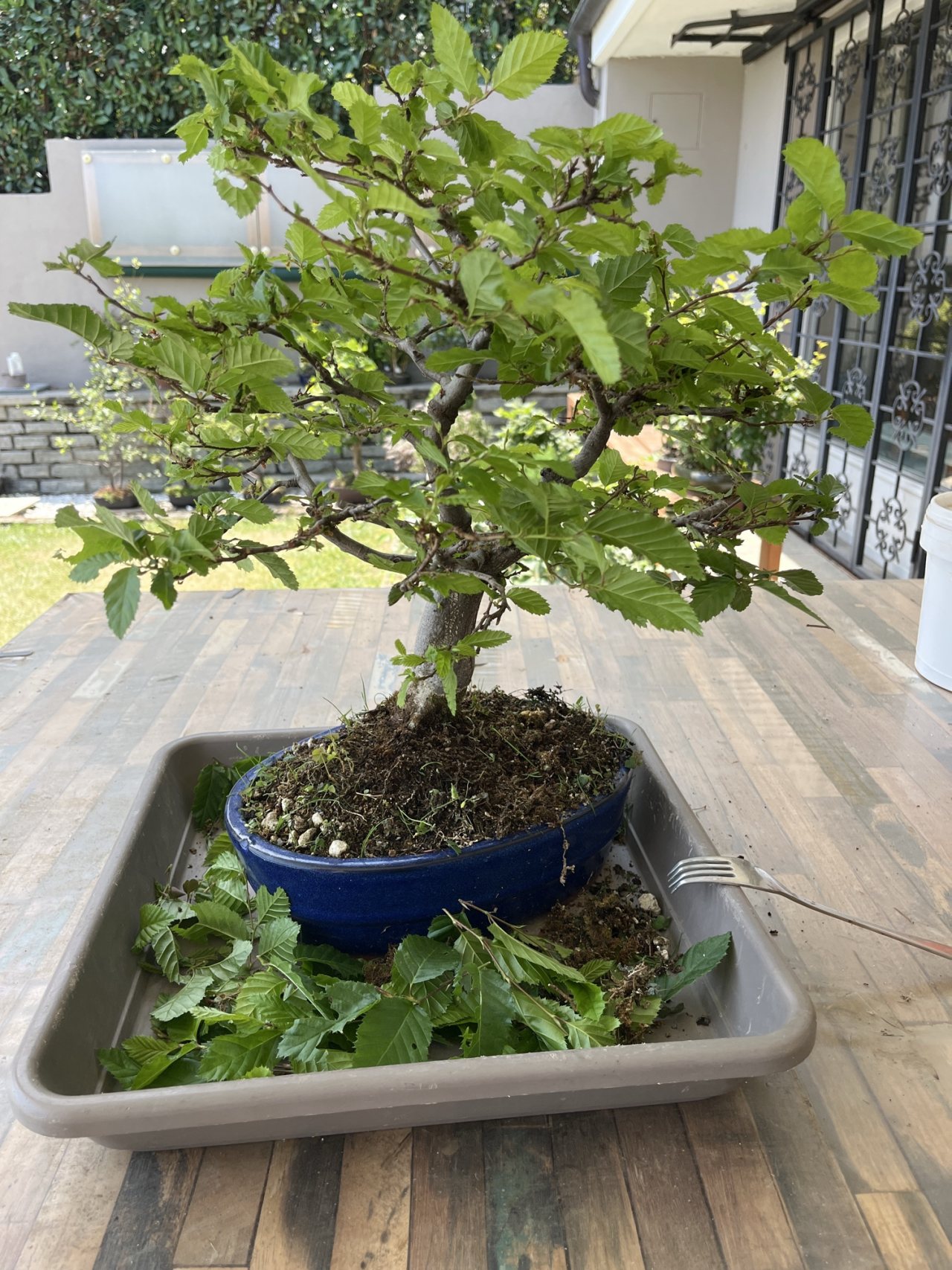 Photo 19