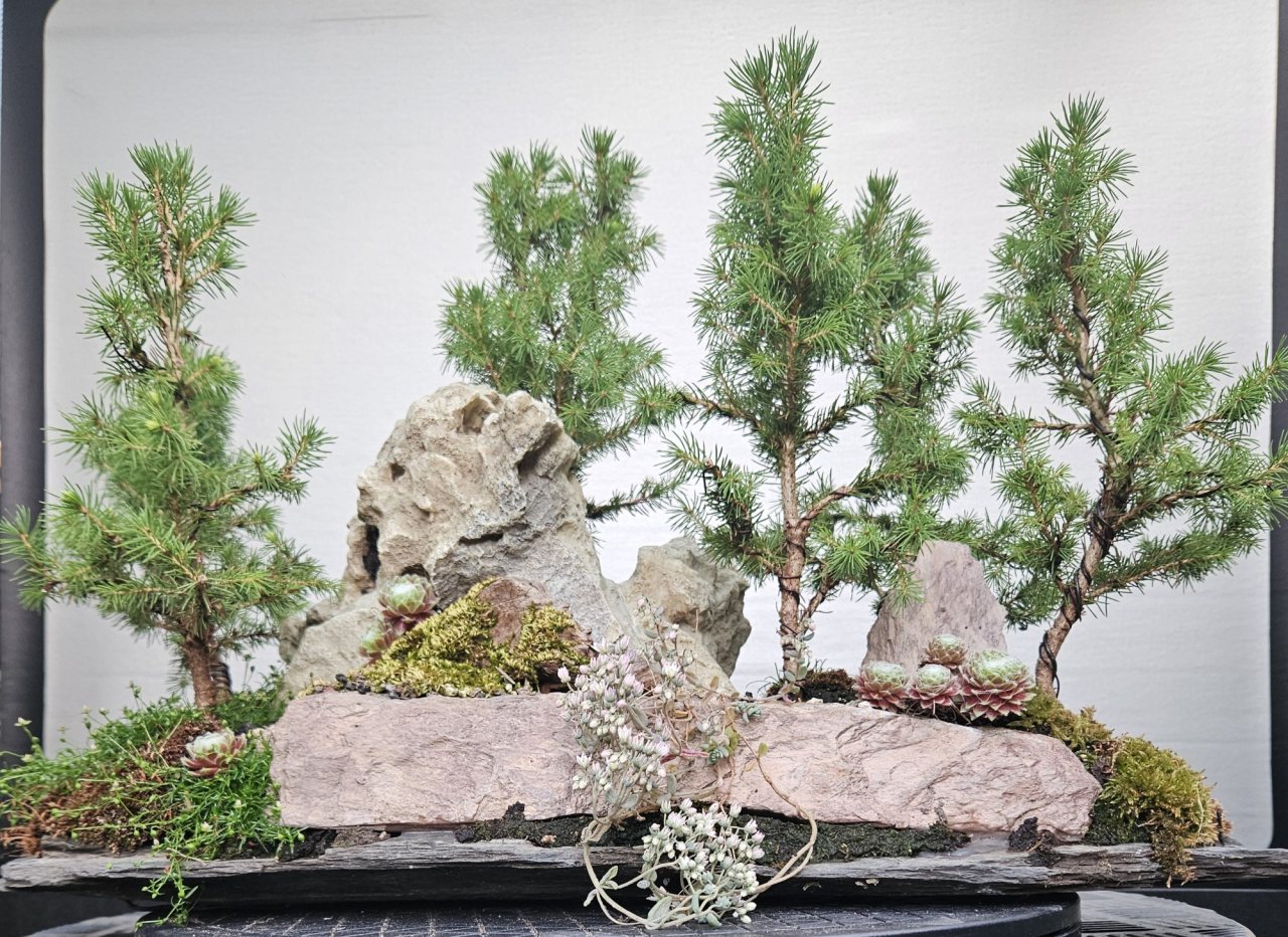 Photo 8