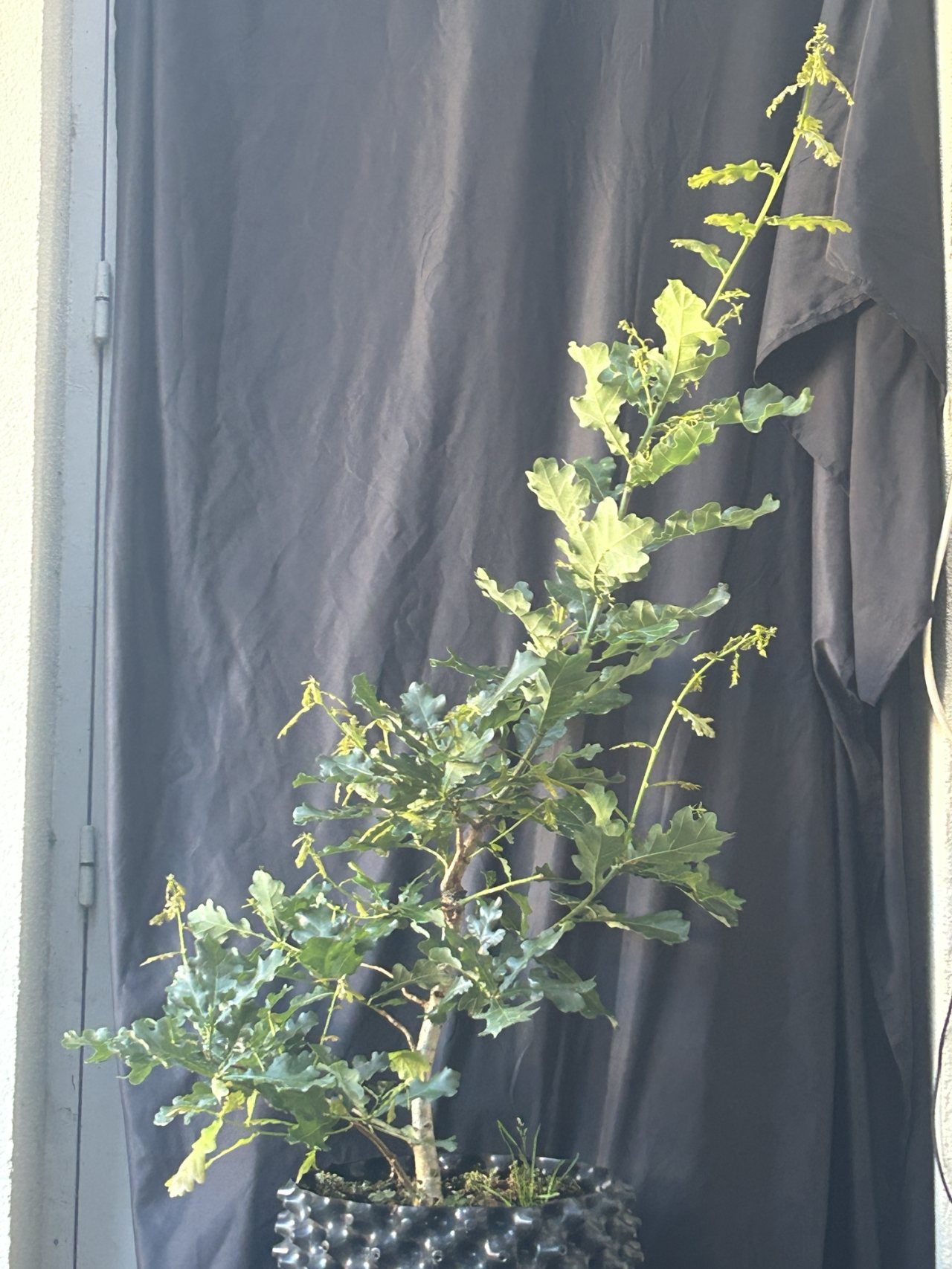 Photo 27