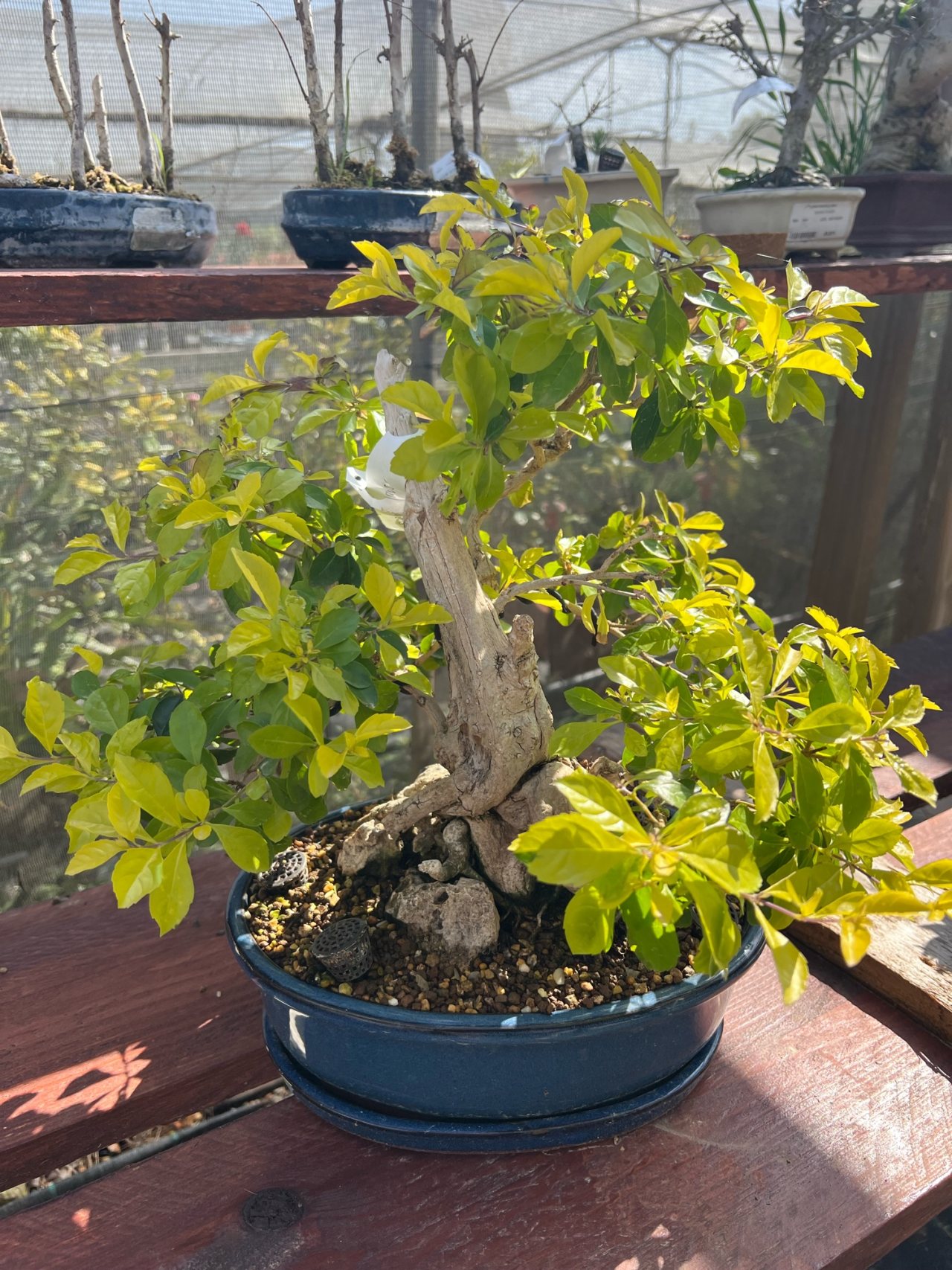 Photo 16