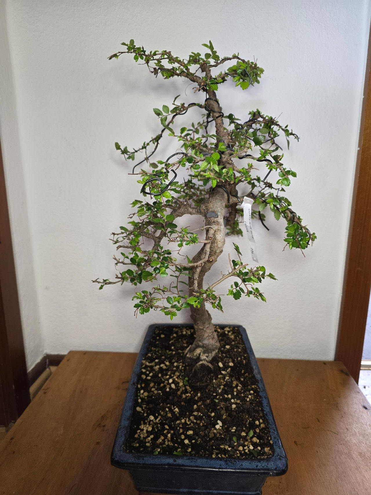 Photo 6
