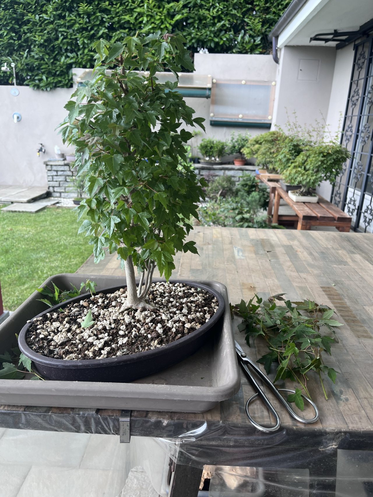 Photo 13