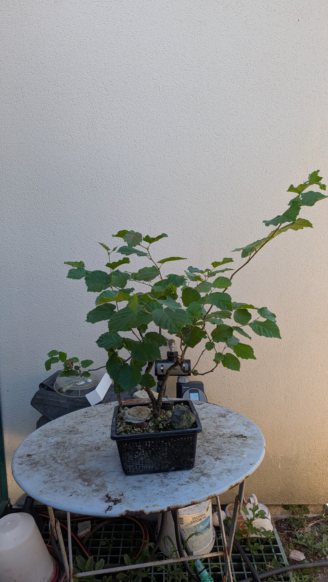 Photo 11