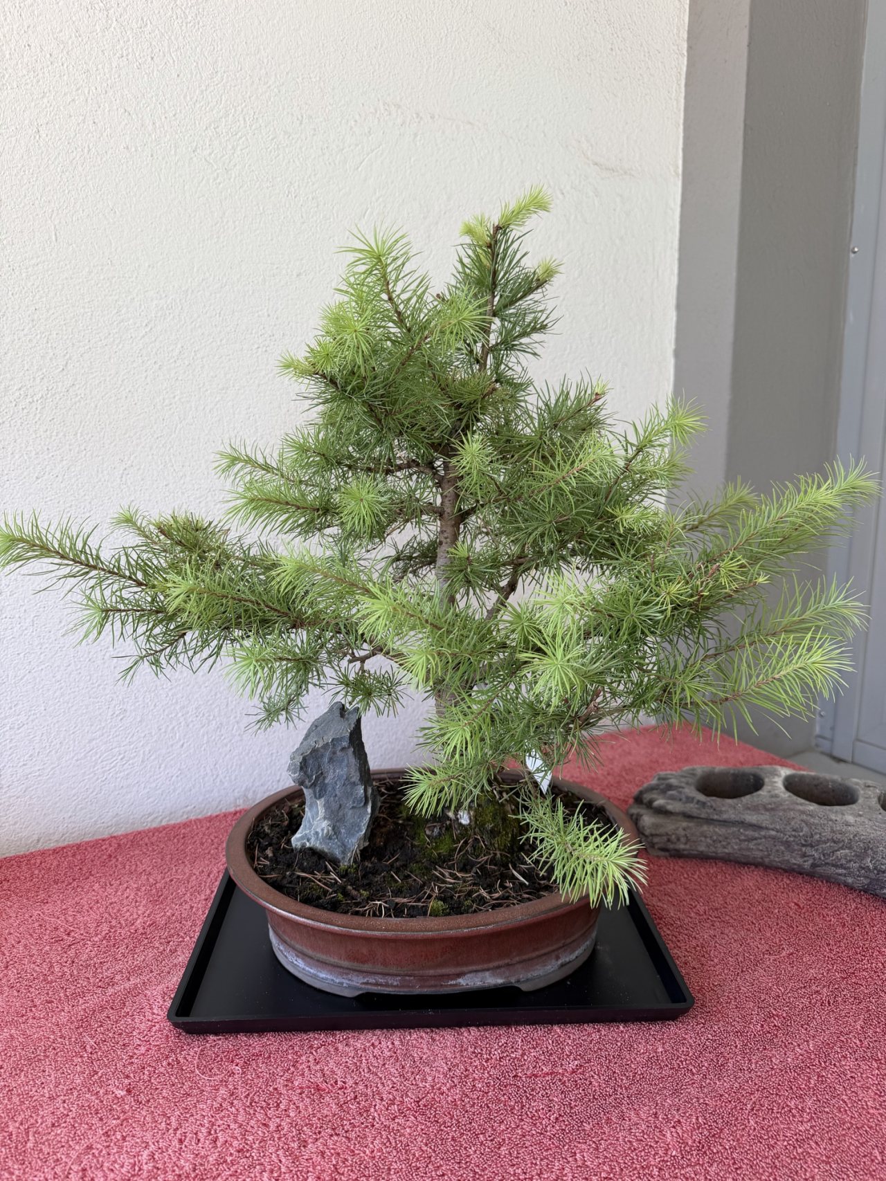 Photo 6
