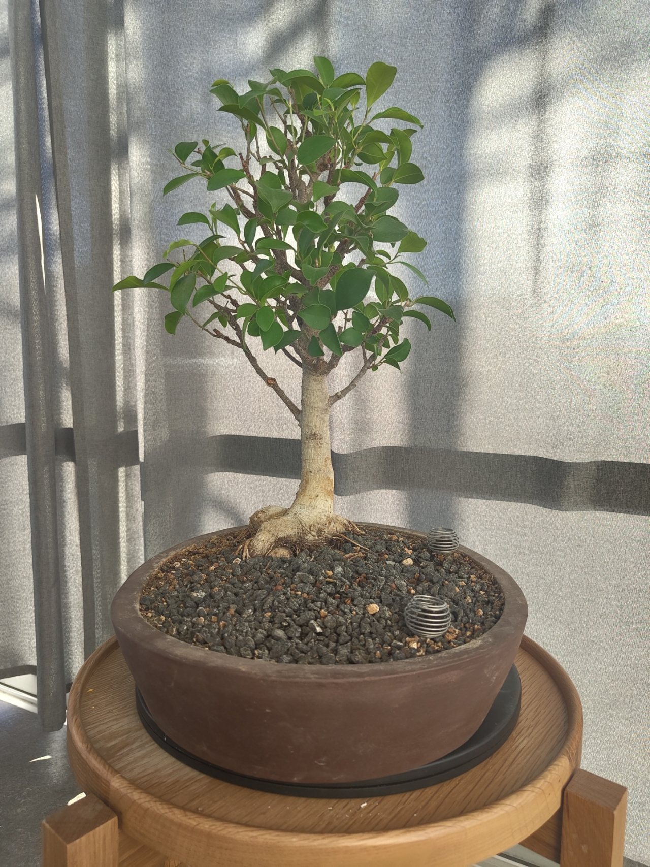 Photo 4