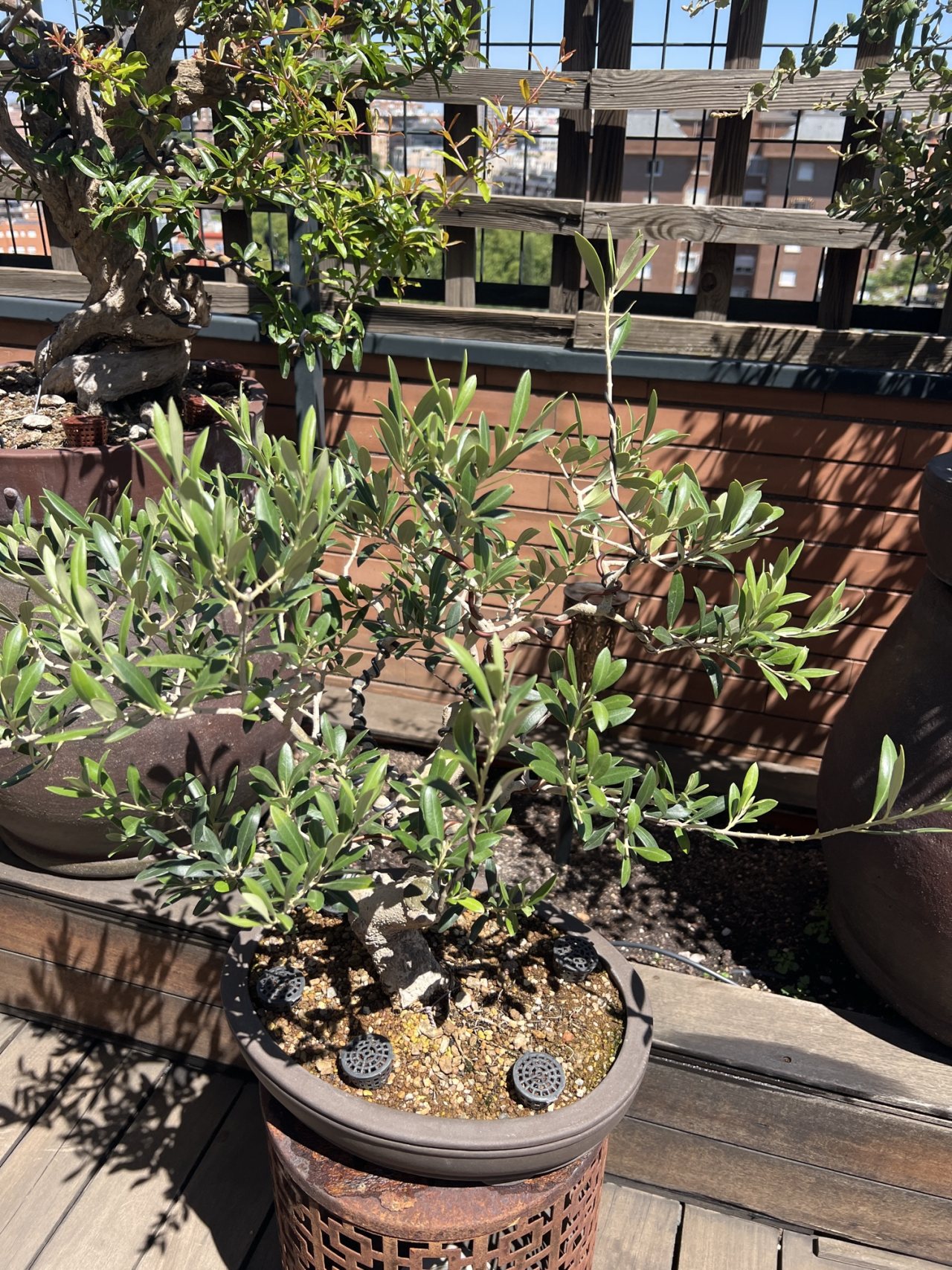 Photo 21