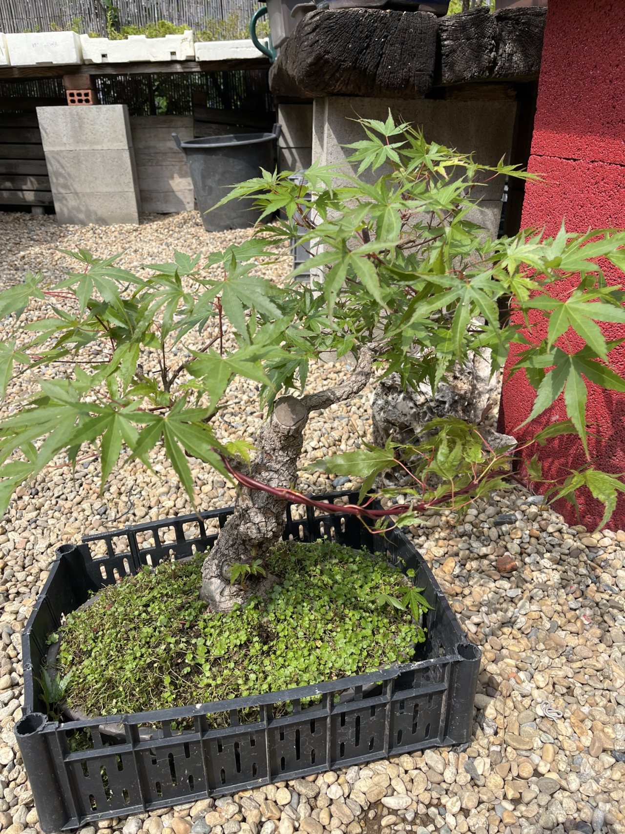 Photo 18