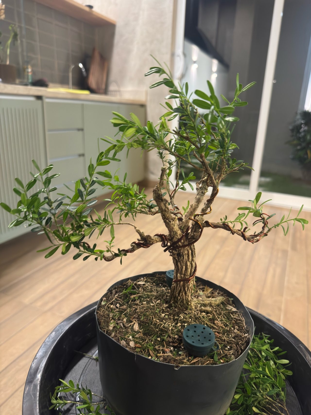 Photo 19