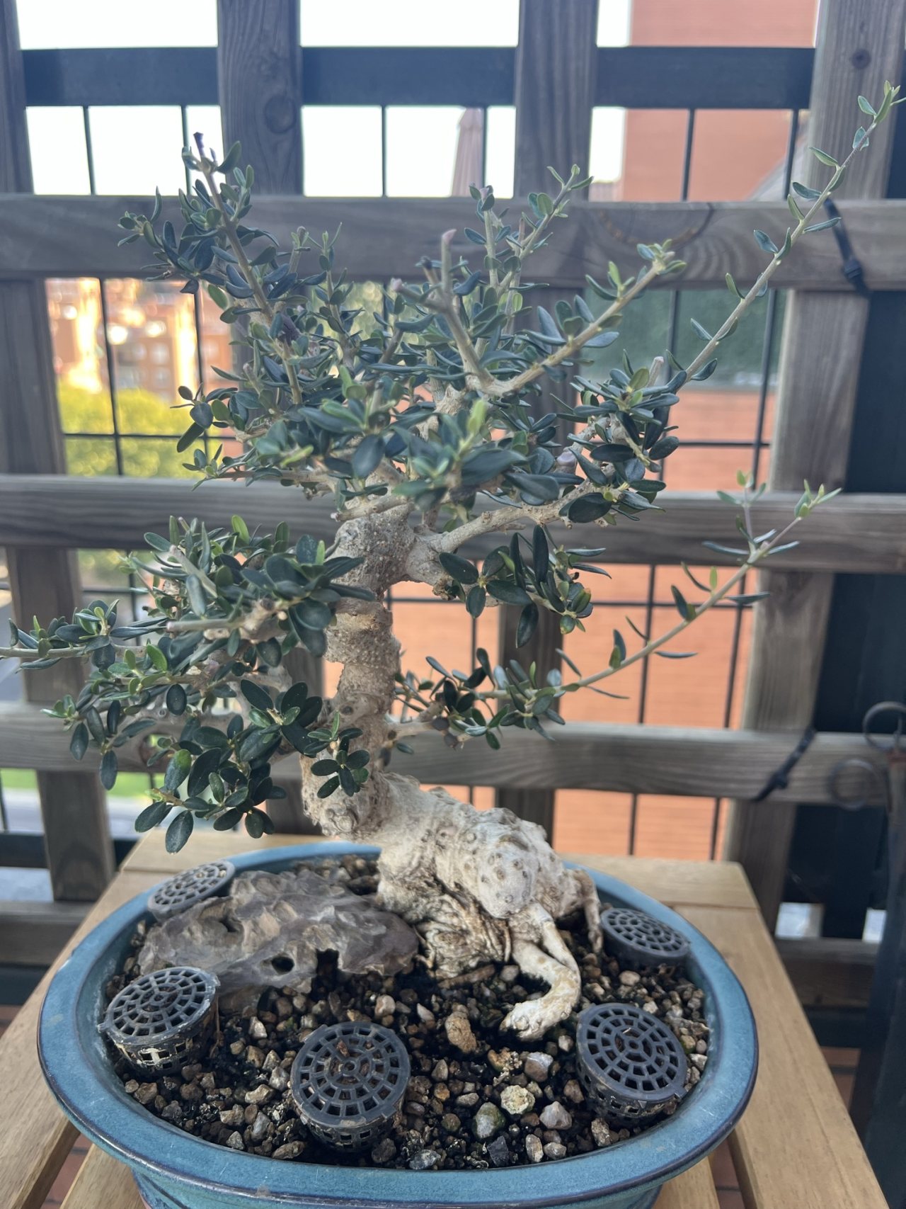 Photo 18