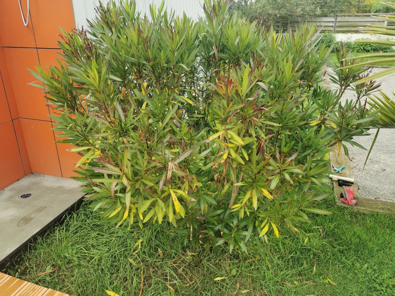 Photo 6