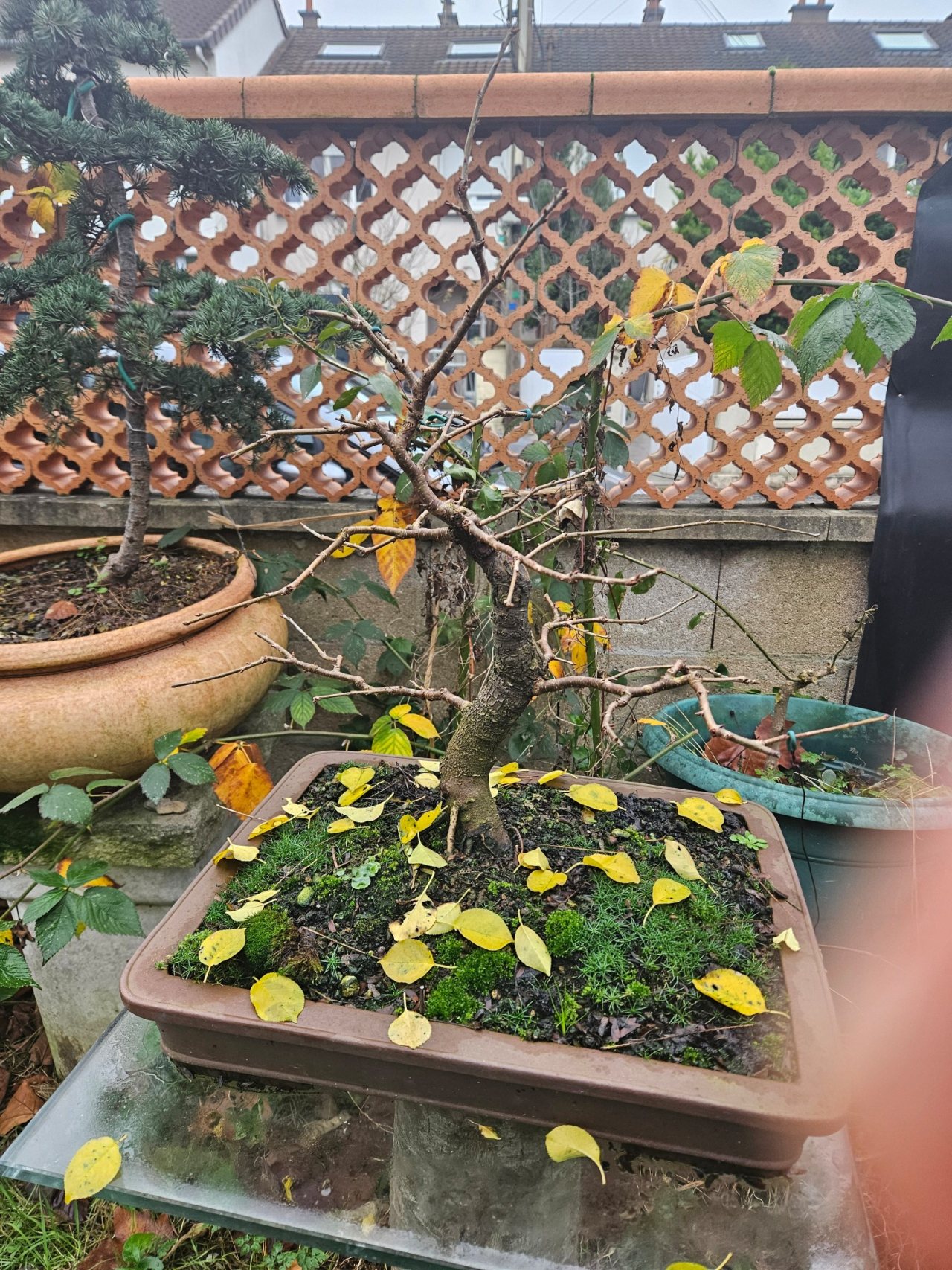 Photo 14