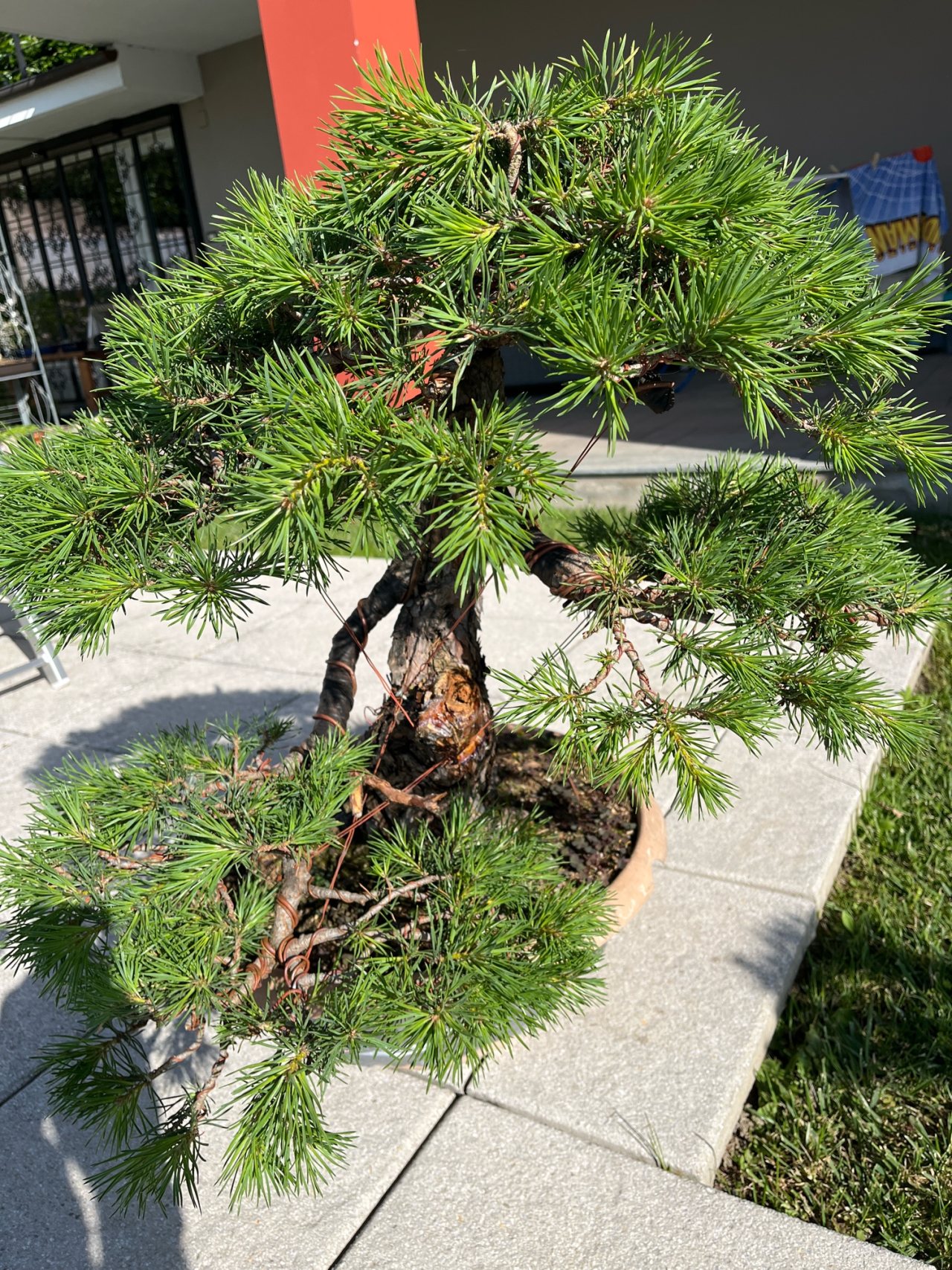Photo 21