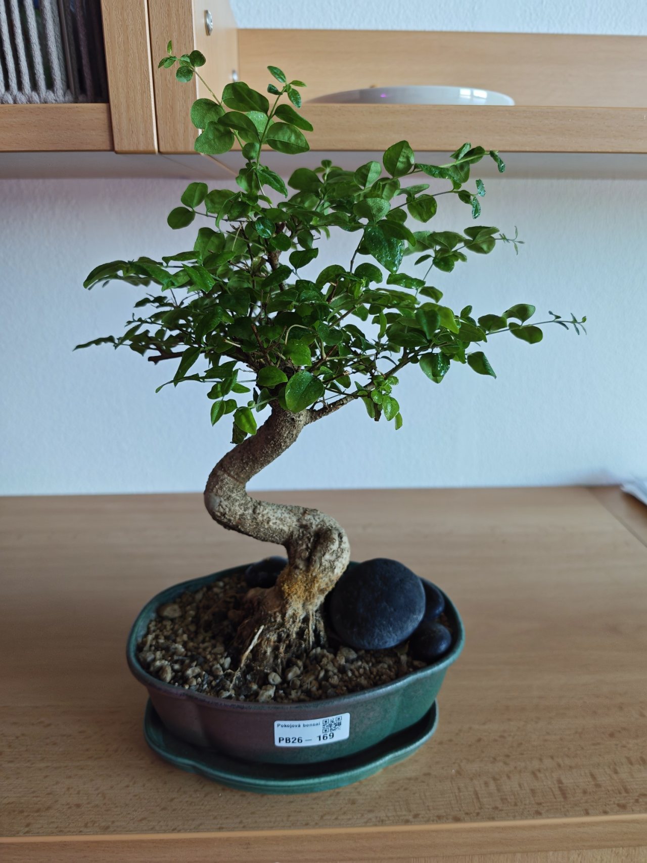 Photo 14