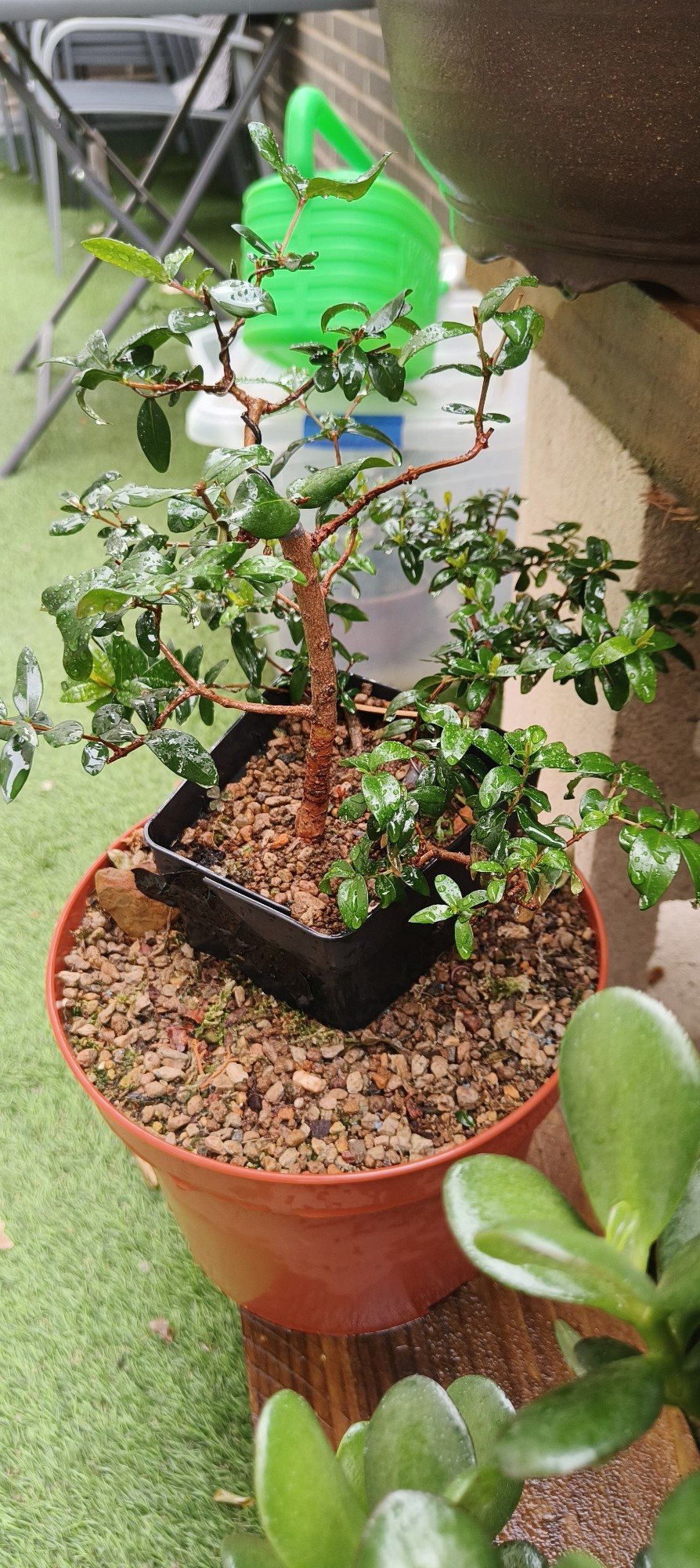 Photo 22