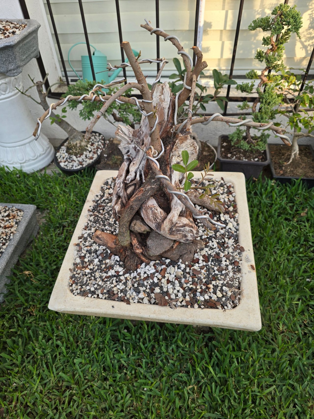 Photo 5