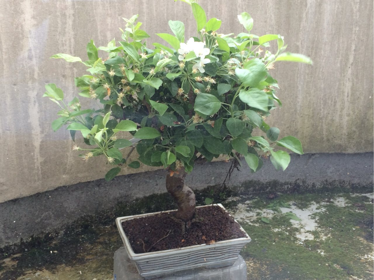 Photo 10