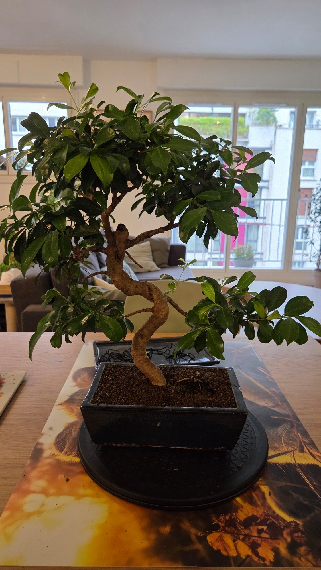 Photo 3
