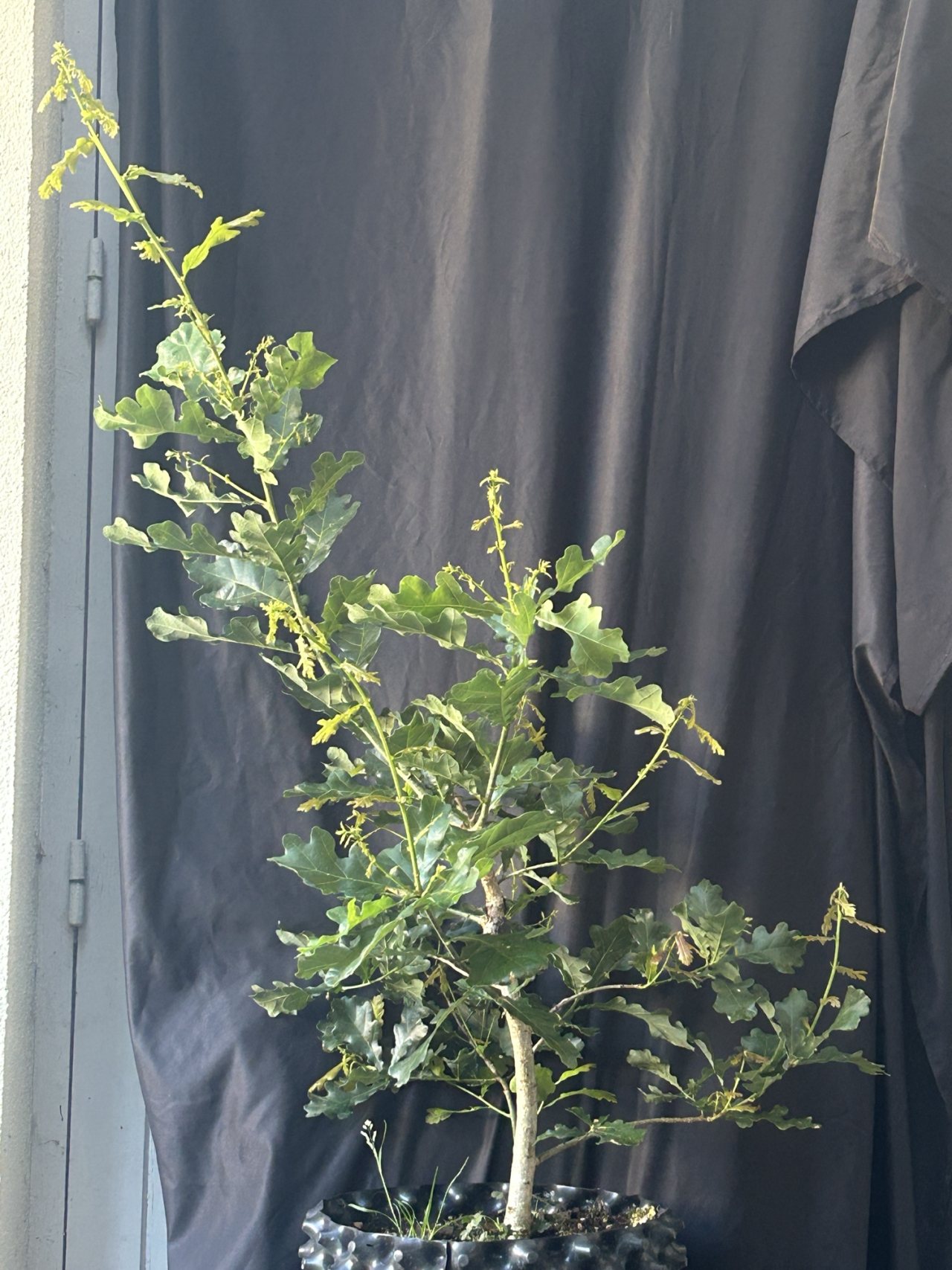 Photo 25
