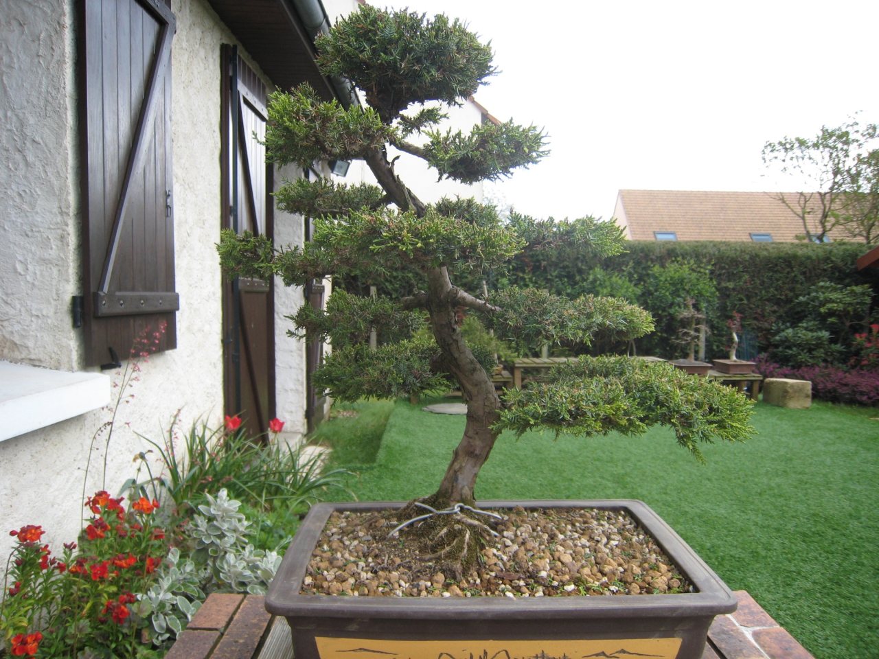 Photo 3