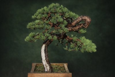 Ganryu