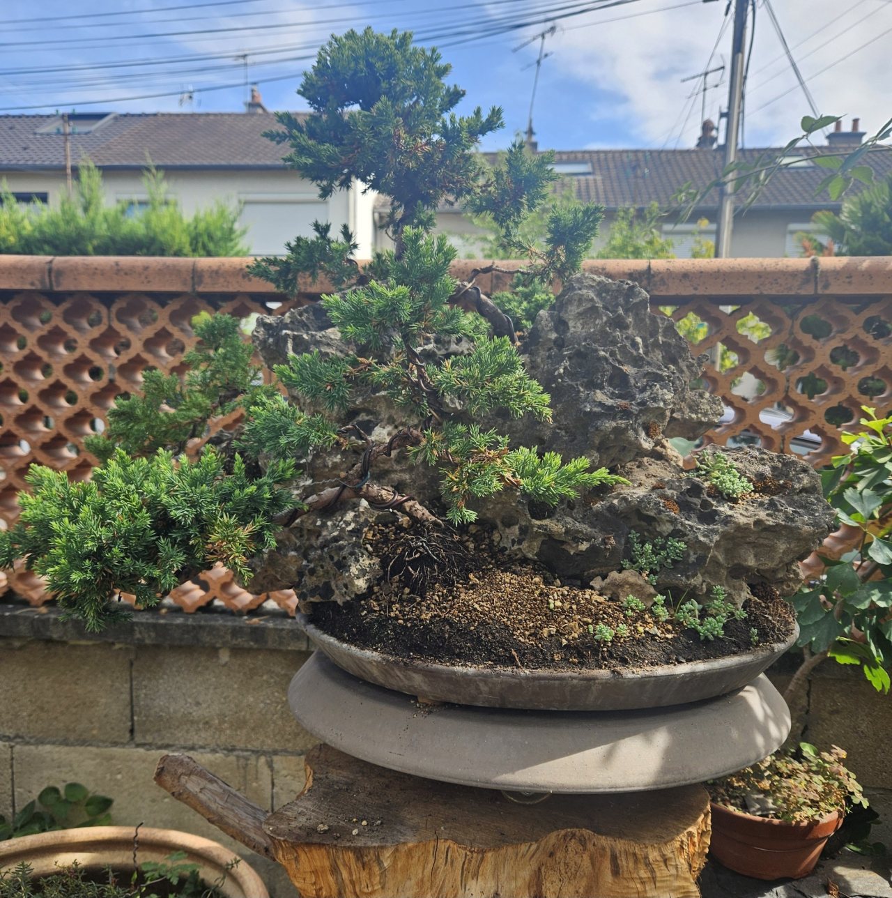 Photo 18