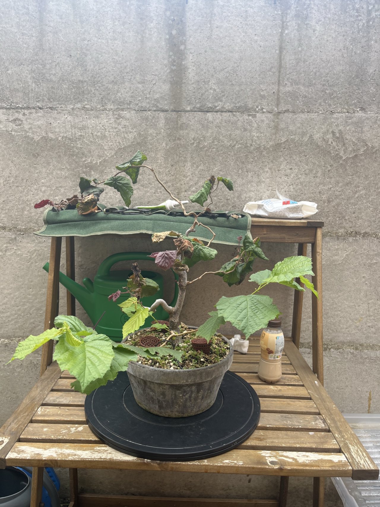 Photo 19