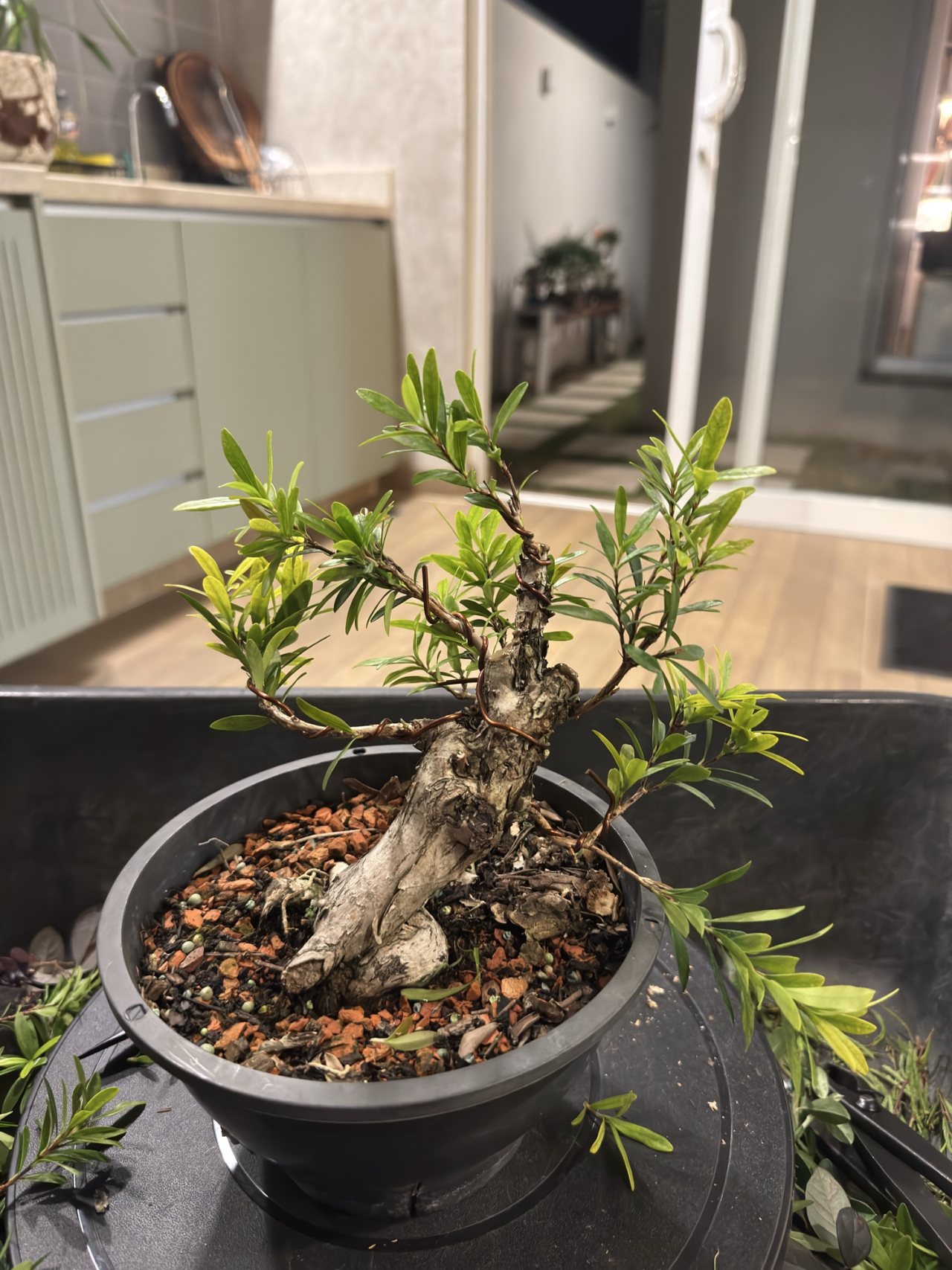 Photo 16