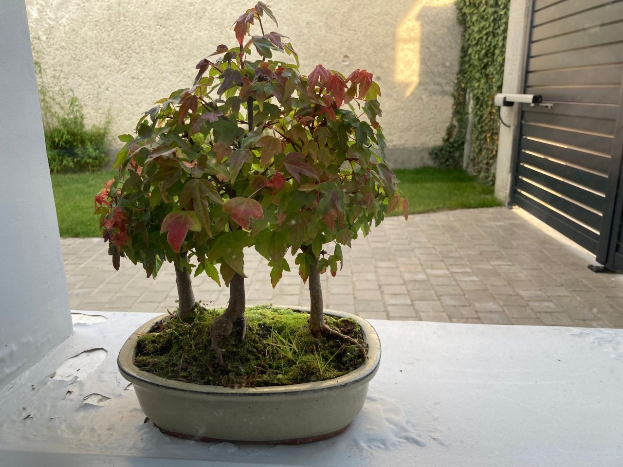 Photo 3