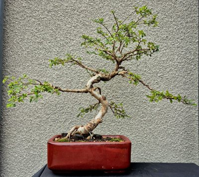 Hokulmukan