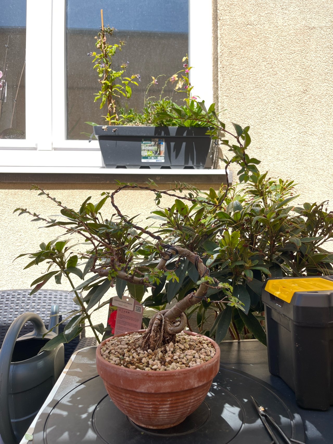 Photo 19