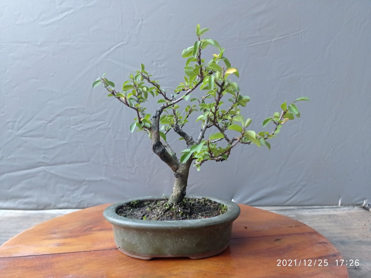 Photo 3