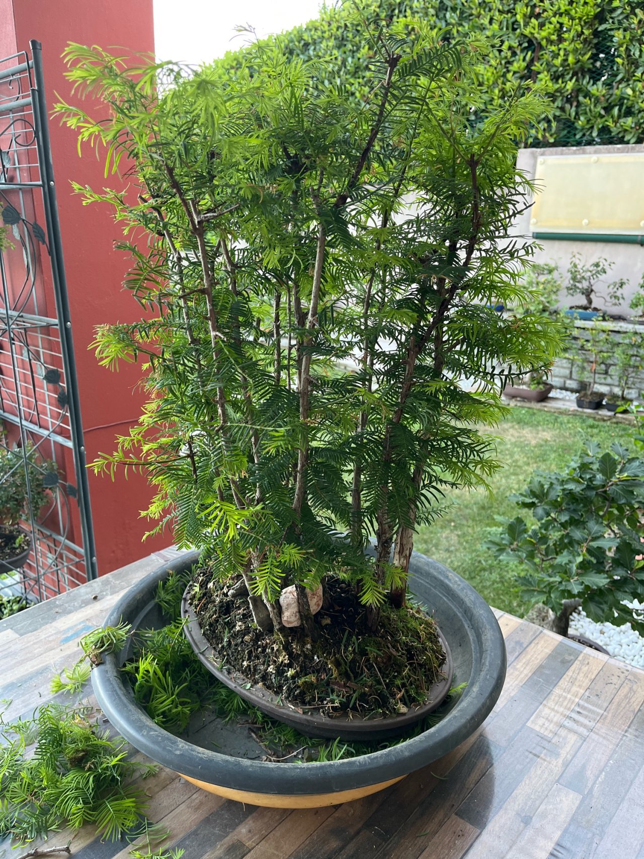 Photo 19