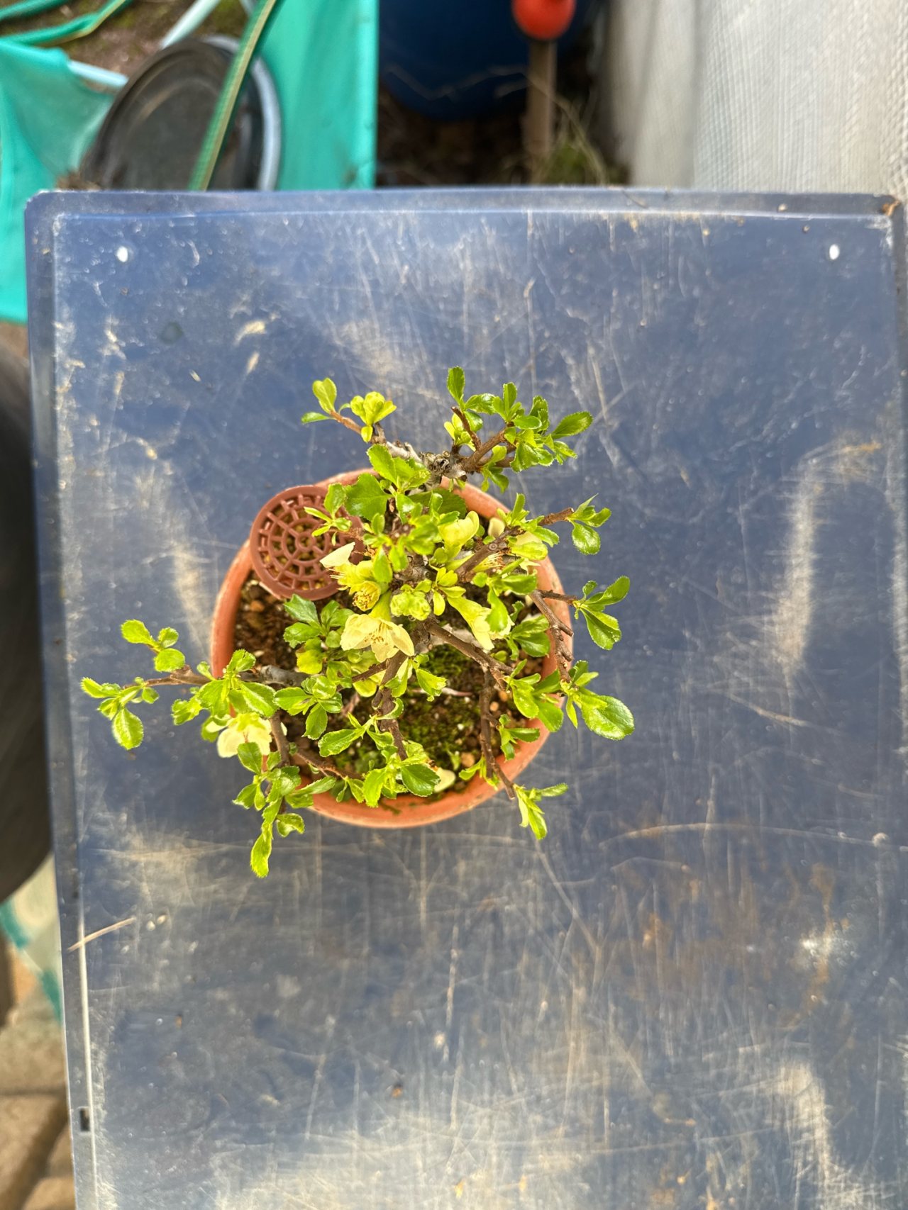 Photo 18