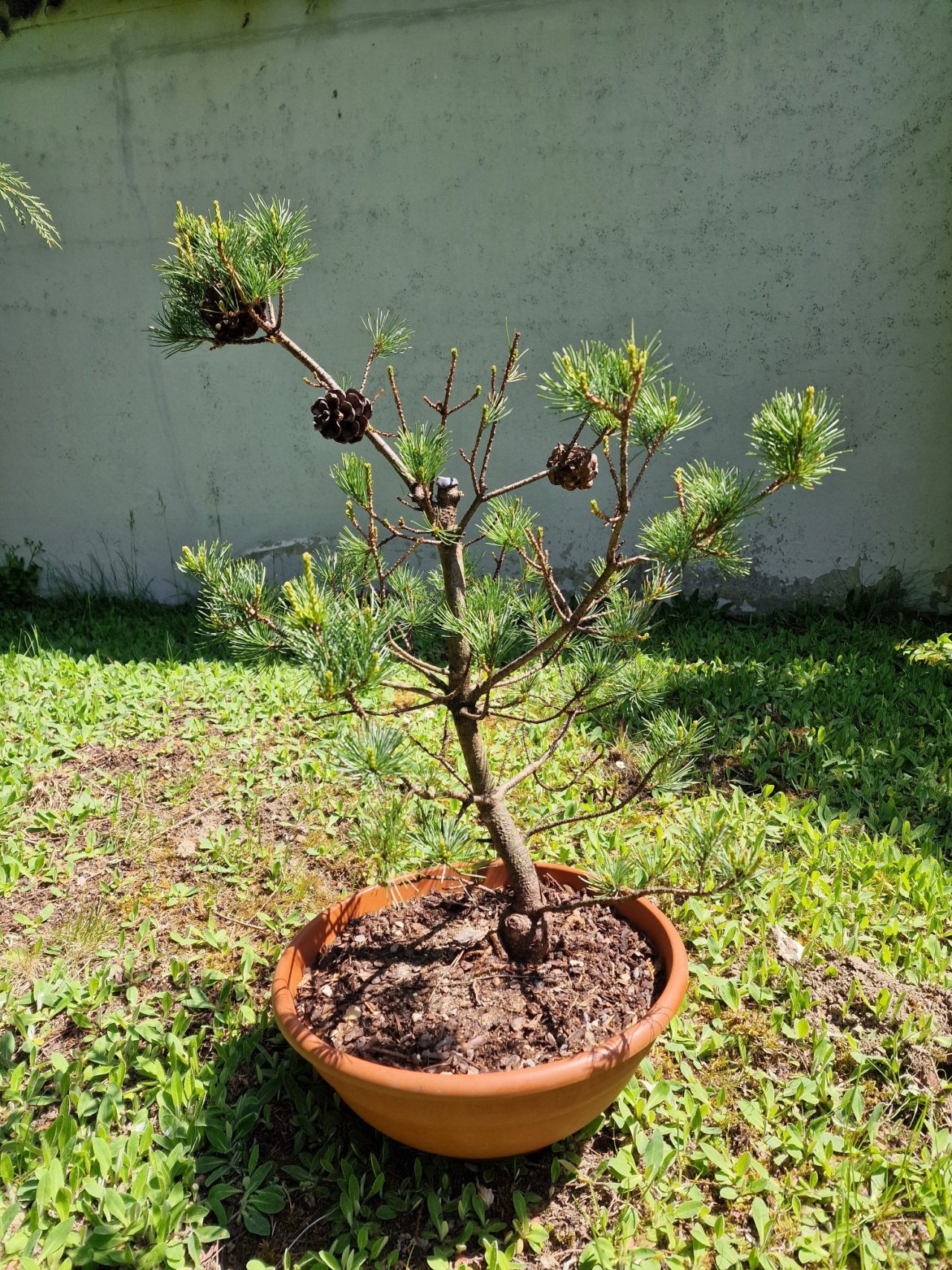 Photo 13