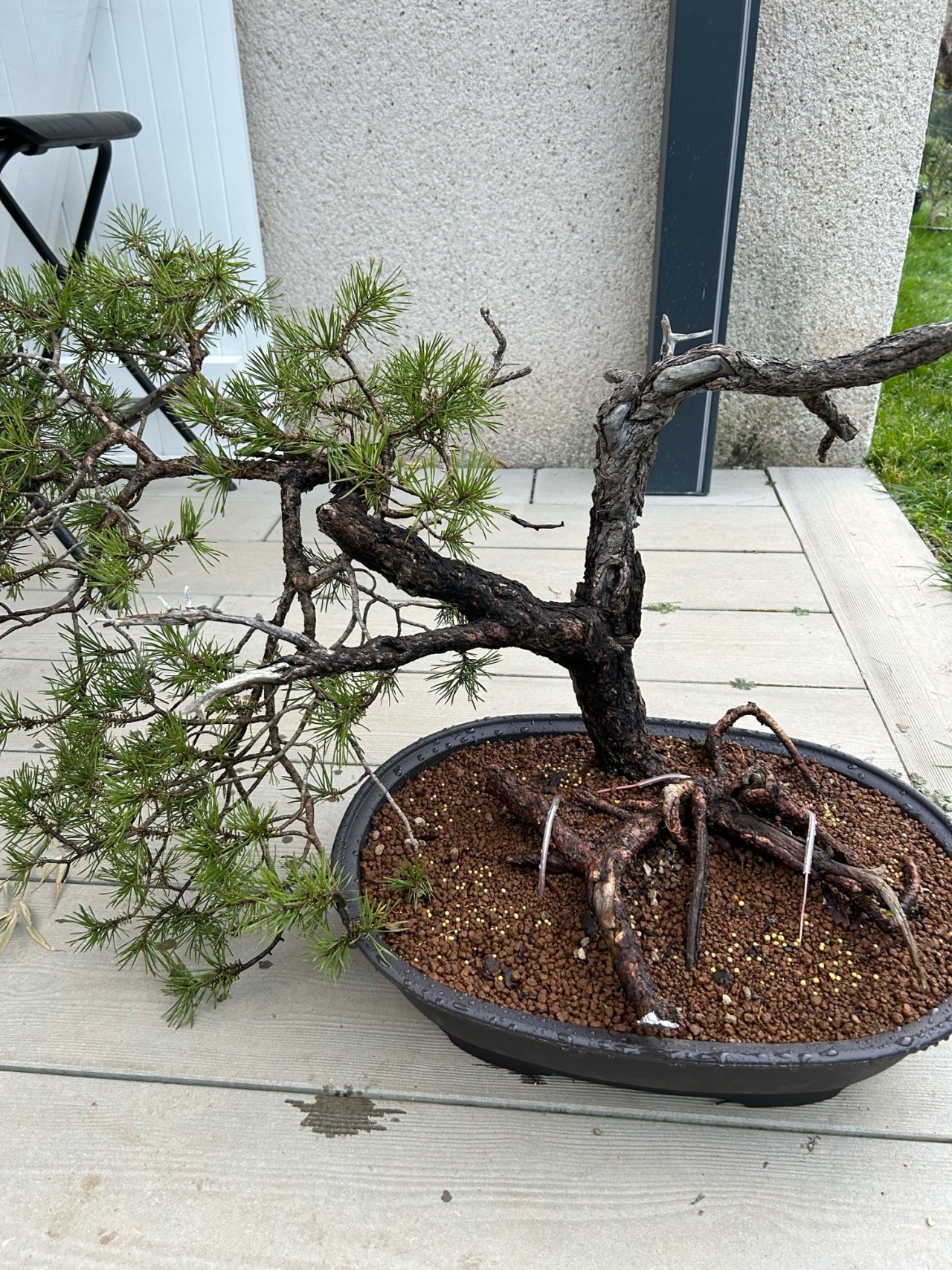 Photo 4