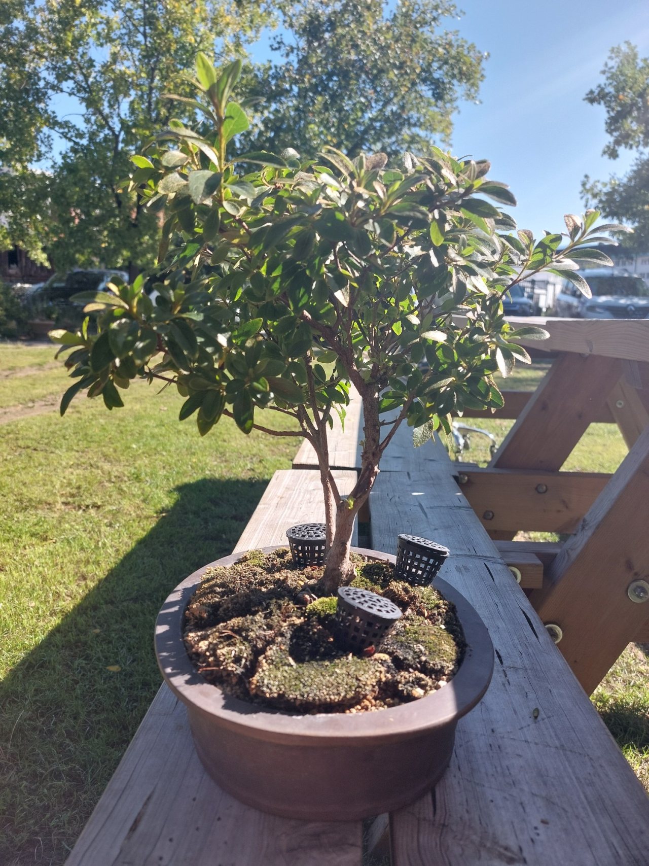 Photo 18