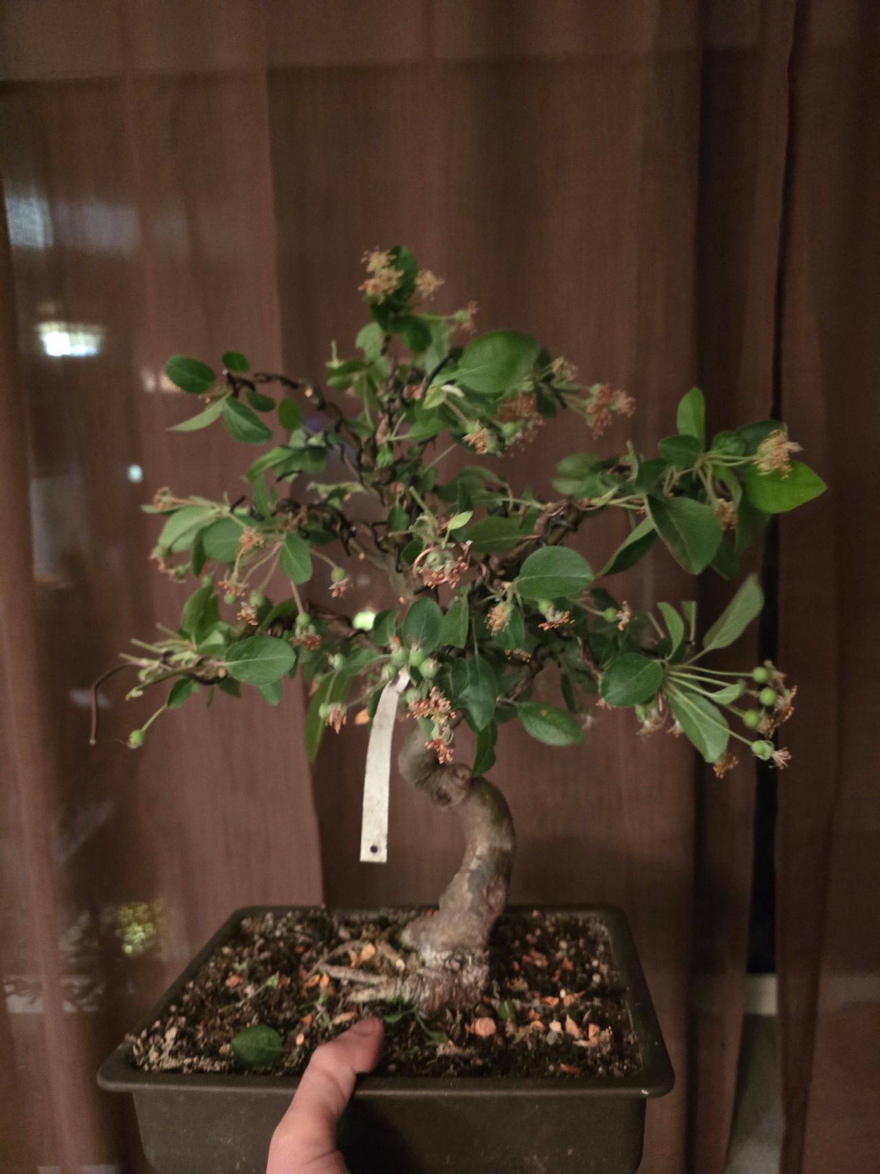 Photo 19